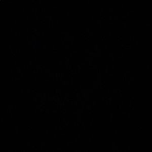 Meet your Posher, Ishaan